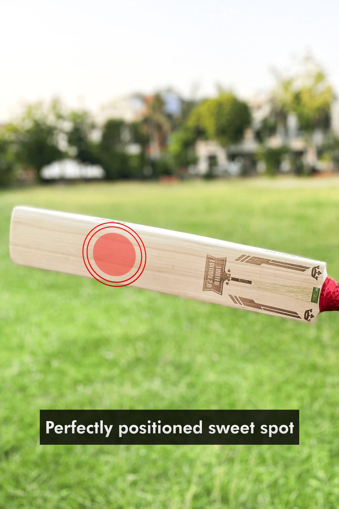 ZAP Signature Limited Edition 2.0 Premium Willow Bat-2